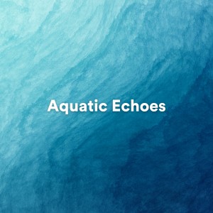 Sea Waves Sounds的專輯Aquatic Echoes