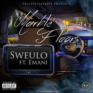 Album Marbel Floors (Explicit) from Yv Or Sweulo