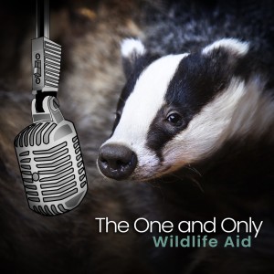 Dengarkan lagu The One and Only nyanyian Wildlife Aid dengan lirik