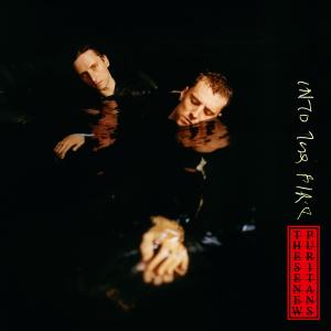 收聽These New Puritans的Into The Fire (Mick the Asbestos Remix)歌詞歌曲