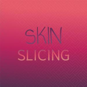 Album Skin Slicing from Various