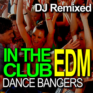 收听DJ Remixed的Something Just Like This (DJ Remixed)歌词歌曲