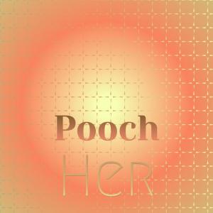 Various的专辑Pooch Her