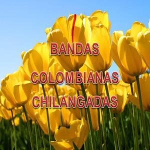 收聽Chilangadas的Cumbia Colombiana歌詞歌曲