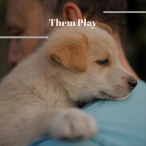 Listen to Adopt Whosever song with lyrics from Hery Houss