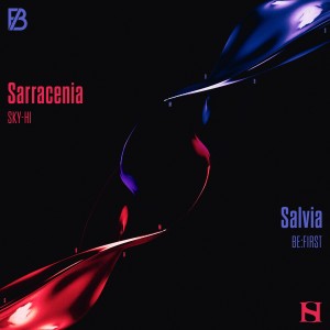 Album Sarracenia / Salvia from Sky-Hi