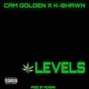 Album Levels (Explicit) from Cam Golden