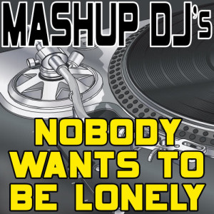 Remix Masters的專輯Nobody Wants To Be Lonely (Re-Mix Package For DJ's)