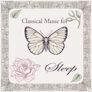 Dengarkan Waltz in A Major Op.39 No.15 （Brahms） lagu dari Noble Music Project dengan lirik