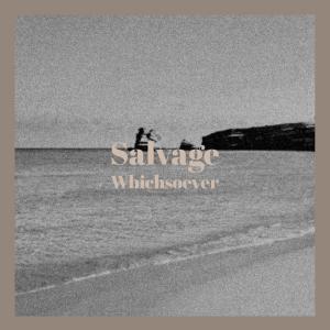 Various Artists的專輯Salvage Whichsoever