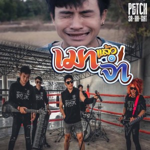 ดาวน์โหลดและฟังเพลง เมาแล้วจำ พร้อมเนื้อเพลงจาก เพชร สหรัตน์