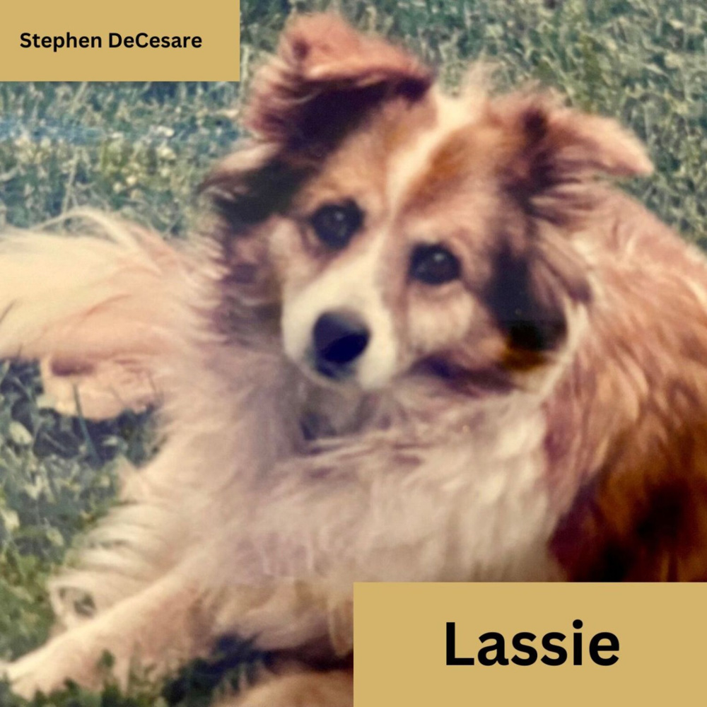 Lassie