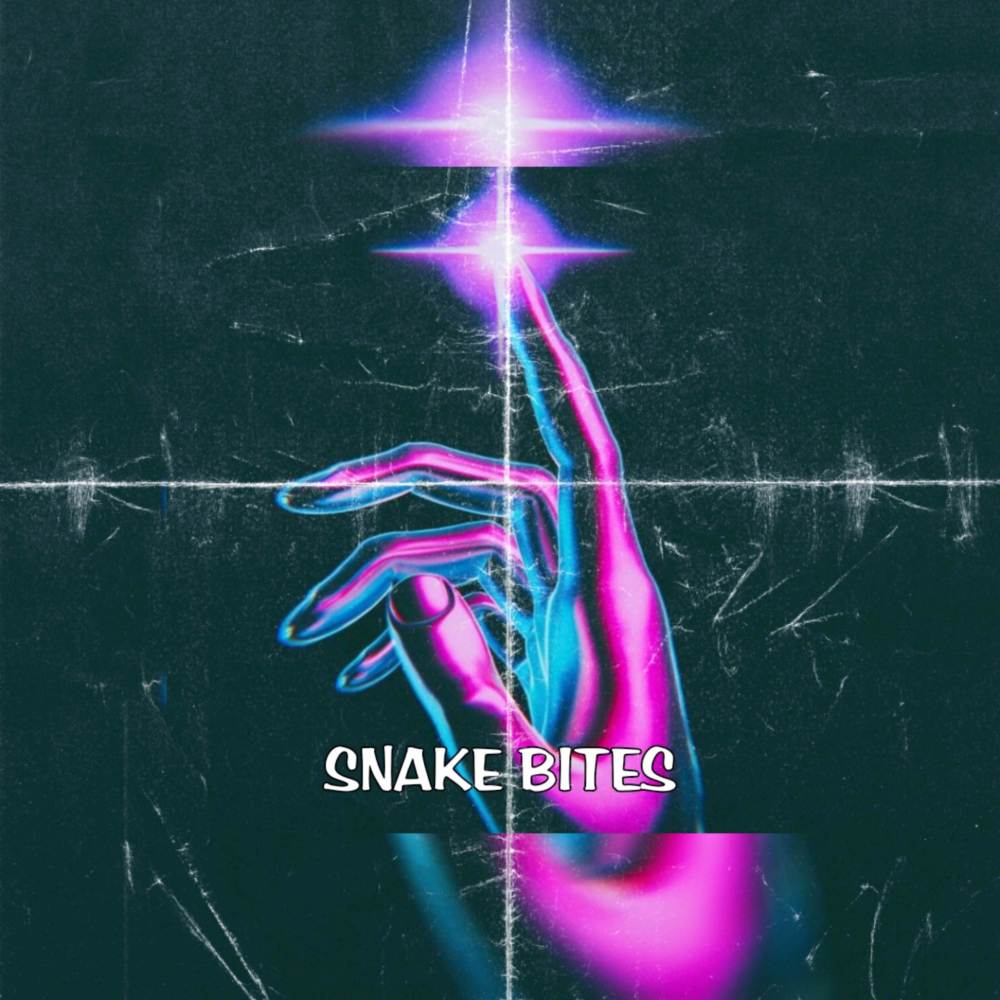 SNAKE BITES