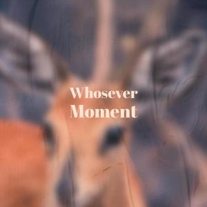 Album Whosever Moment from 