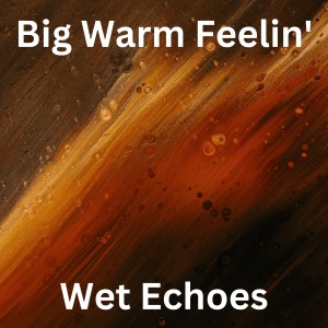 收聽Wet Echoes的Big Warm Feelin'歌詞歌曲