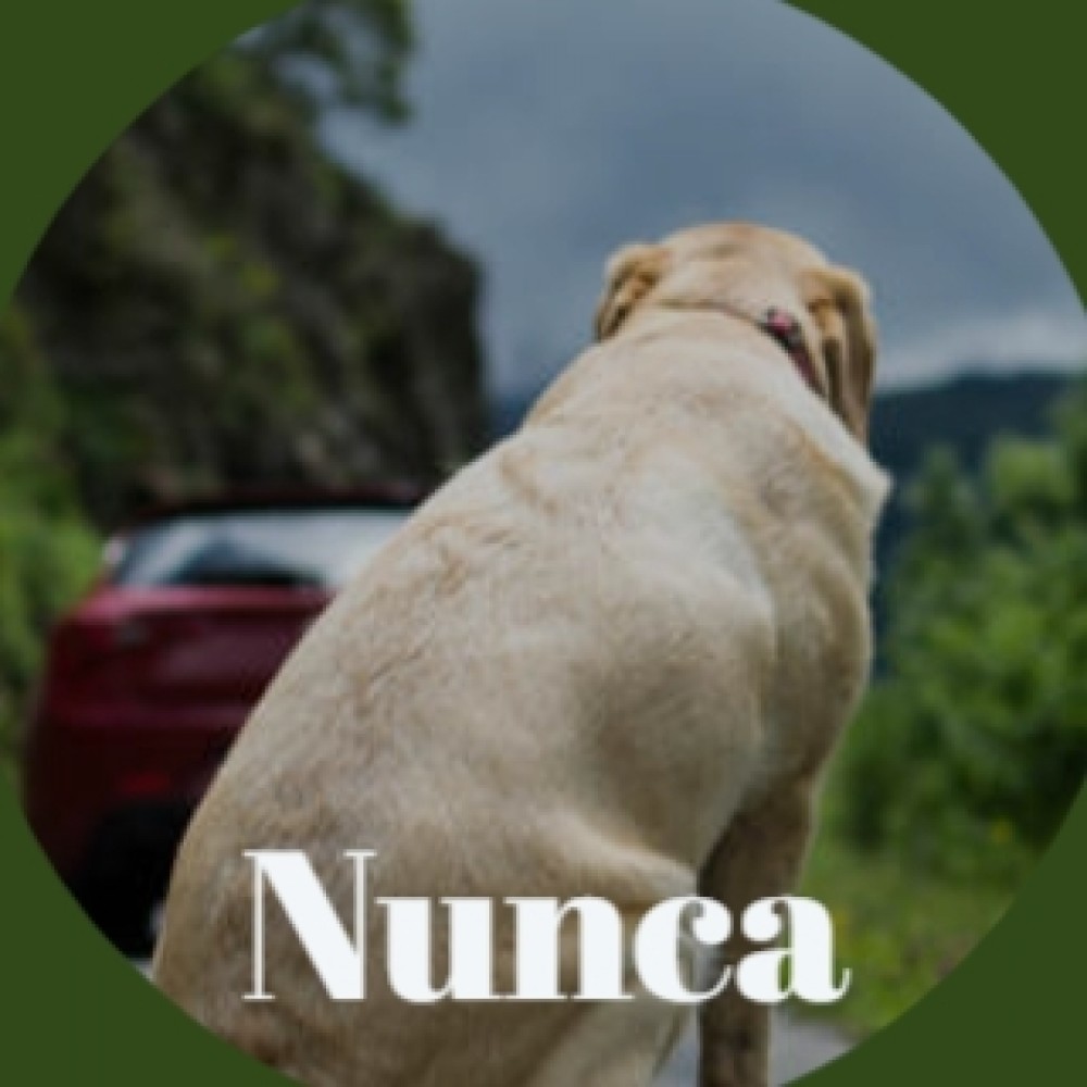 Una Soga Larga Alcanza