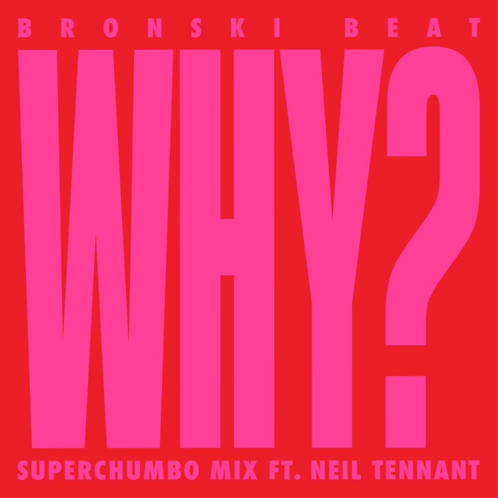 Why? [feat. Neil Tennant] (Superchumbo Mix Edit)