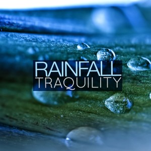 Relaxing Sounds of Rain Music Club的專輯Rainfall: Tranquility