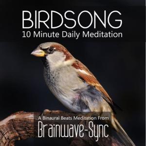 收聽Brainwave的Birdsong歌詞歌曲