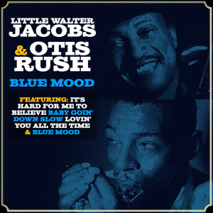 Listen to Blue Mood song with lyrics from Walter Jacobs