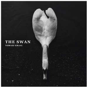 收聽Tomasz Kraal的The Swan歌詞歌曲