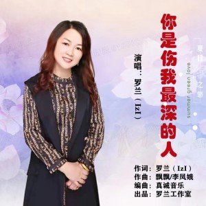 Album 你是伤我最深的人 from 罗兰（lzl）