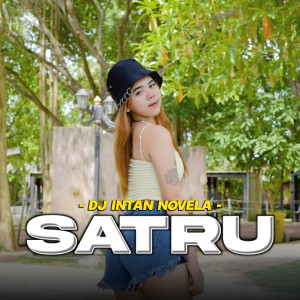 Album Satru (Remix) from DJ Intan Novela