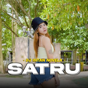 Listen to Satru (Remix) song with lyrics from DJ Intan Novela