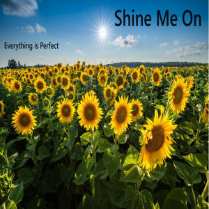 อัลบัม Shine Me On (Everything is Perfect) (feat. Aaron Hall & Allison Littlejohn) ศิลปิน Jason Bourgeois