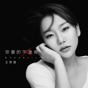 Album 你爱的不是我 from 歌手