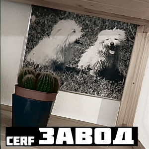 Album Завод oleh Cerf