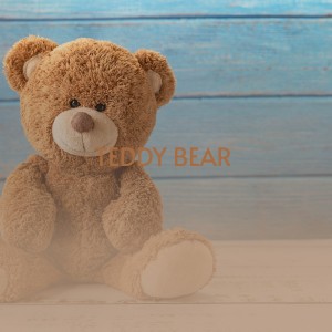 Dengarkan Teddy Bear lagu dari Jonah Gold and His Silver Apples dengan lirik