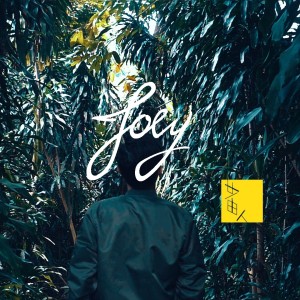 Listen to Joey song with lyrics from 廿一由人