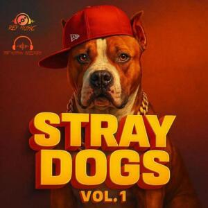 อัลบัม STRAY DOGS, Vol. 1 (feat. CABU, Santi king, Aterrante, Letal max, Mr William, Valentino flow, YAIL EL FLOW INMINENTE, KENNEDY, BLAST, El maick & Gabiinho 507) [Explicit] ศิลปิน Stray Dogs