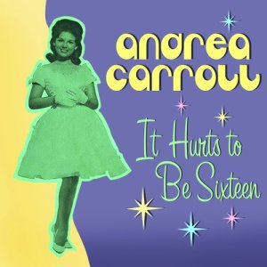 ดาวน์โหลดและฟังเพลง Sally Fool พร้อมเนื้อเพลงจาก Andrea Carroll