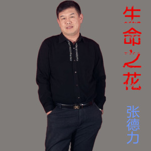 Listen to 生命之花 song with lyrics from 张德力