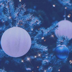 ดาวน์โหลดและฟังเพลง Blue Christmas พร้อมเนื้อเพลงจาก 박성진
