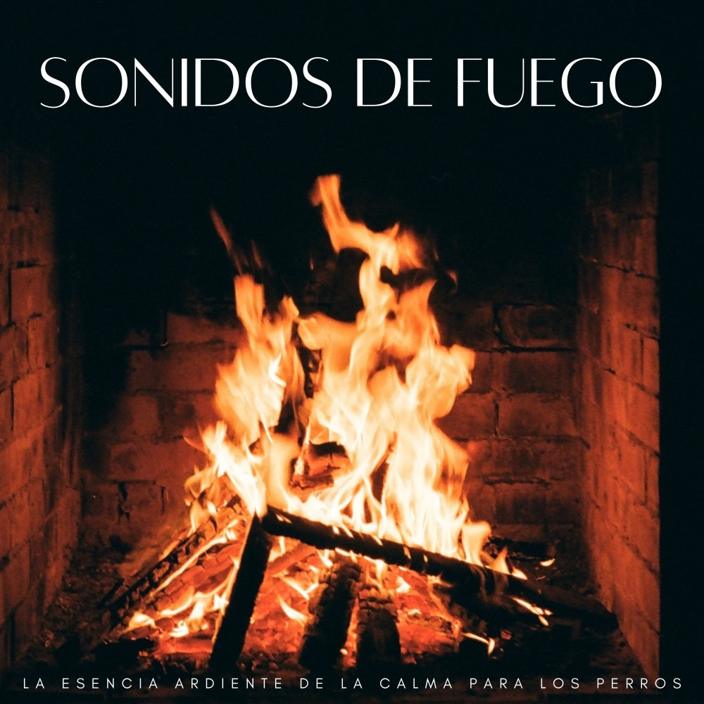 Relajante Fuego En La Azotea