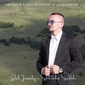 ดาวน์โหลดและฟังเพลง Kenge Dhe Mall Per Vendlindjen พร้อมเนื้อเพลงจาก Dali Ismailaj