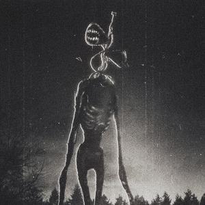Dengarkan SIREN HEAD (TH3 DARP) (TH3 DARP REMIX) lagu dari TH3 DARP dengan lirik