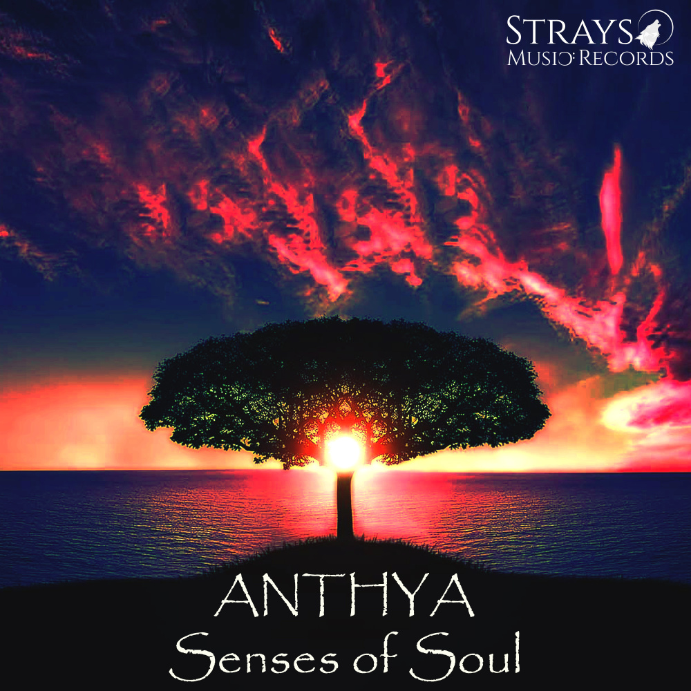 Senses of Soul
