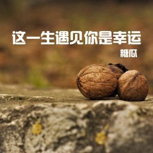 Album 这一生遇见你是幸运 from 糖瓜