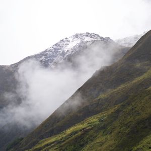 Listen to Armonía Consciente song with lyrics from Naturaleza Relajacion