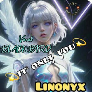 收聽LinOnyx的IT'S ONLY YOU (feat. Blackbird)歌詞歌曲