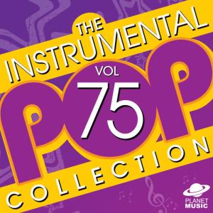 ดาวน์โหลดและฟังเพลง Too Funky (Instrumental Version) พร้อมเนื้อเพลงจาก The Hit Co.