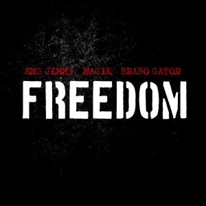 Mag1k的专辑Freedom