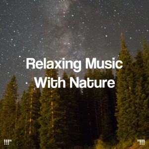 Nature Sounds Nature Music的专辑"!!! Relaxing Music With Nature !!!"