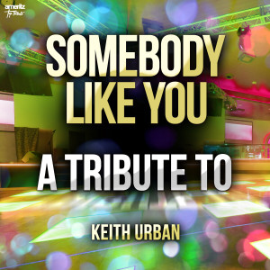 Ameritz Top Tributes的專輯Somebody Like You: A Tribute to Keith Urban