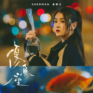 收聽Sherman 潘靜文的傷魚座 (伴奏)歌詞歌曲