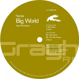 ดาวน์โหลดและฟังเพลง Big World พร้อมเนื้อเพลงจาก Nectar